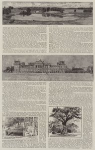 Blenheim Palace Illustrated